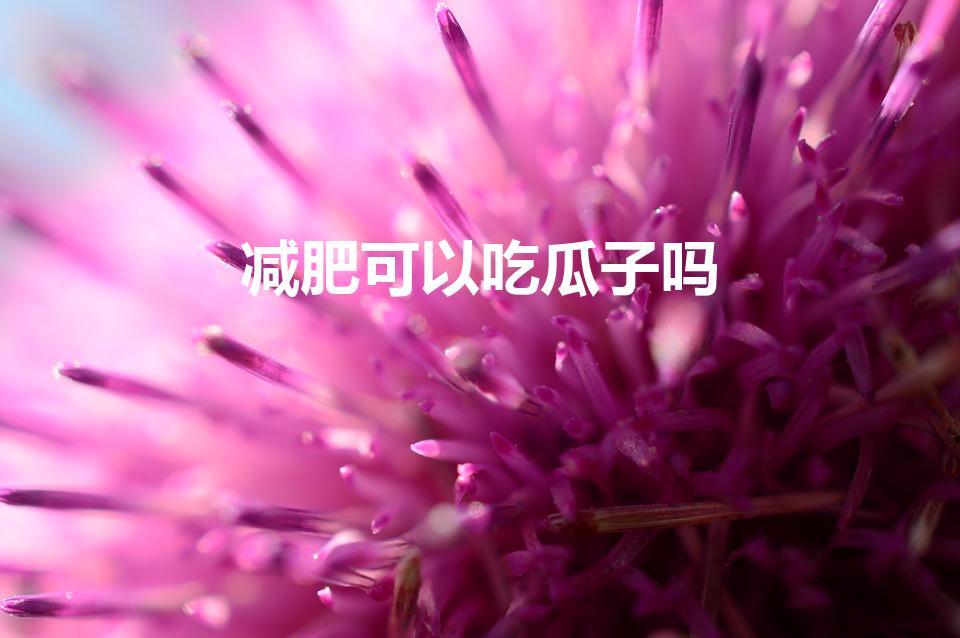 减肥可以吃瓜子吗（减肥能吃瓜子吗 吃瓜子会长胖吗）