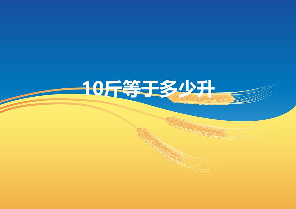 10斤等于多少升（十斤等于多少升）