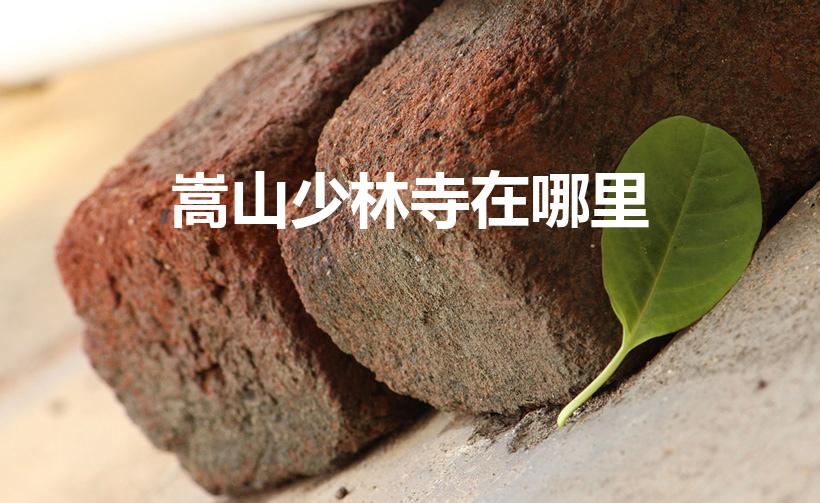 嵩山少林寺在哪里（嵩山少林寺在哪 嵩山少林寺的位置）