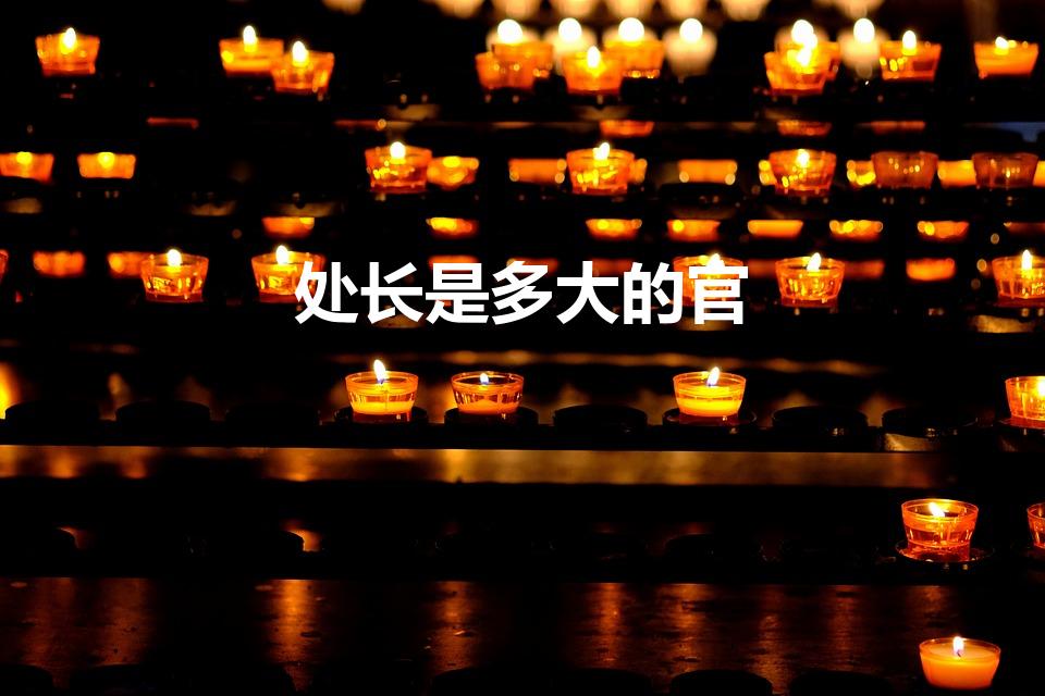 处长是多大的官（处长是什么级别）