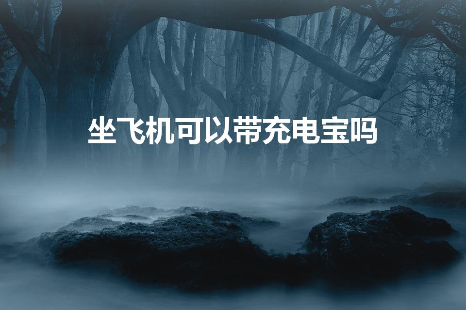 坐飞机可以带充电宝吗（飞机允许带充电宝吗）