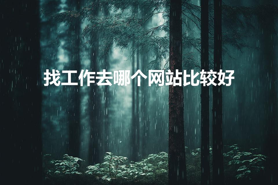 找工作去哪个网站比较好（找工作哪个网站靠谱）