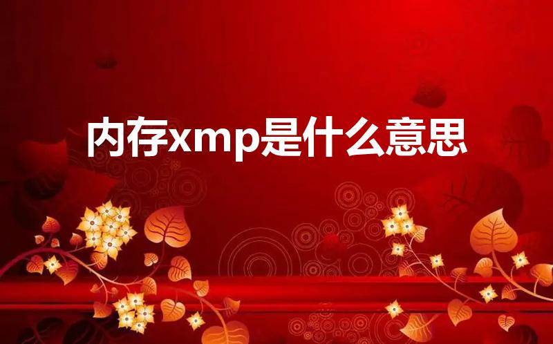 内存xmp是什么意思（xmp是什么）