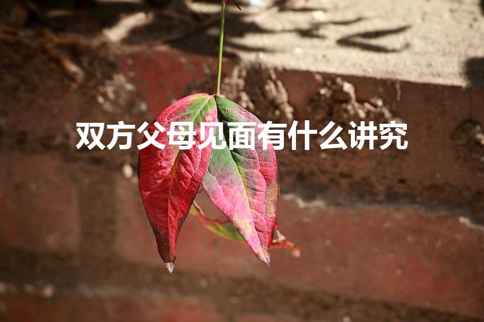 双方父母见面有什么讲究（双方父母第一次见面有什么讲究）