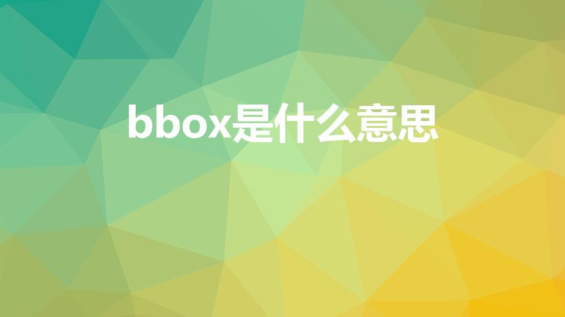 bbox是什么意思（BBOX 是什么意思）
