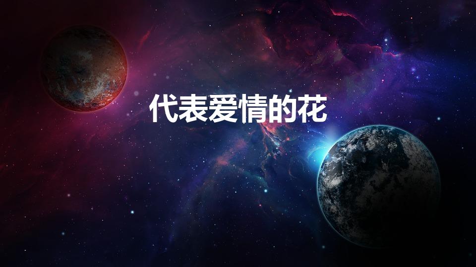 代表爱情的花（寓意爱情的花）