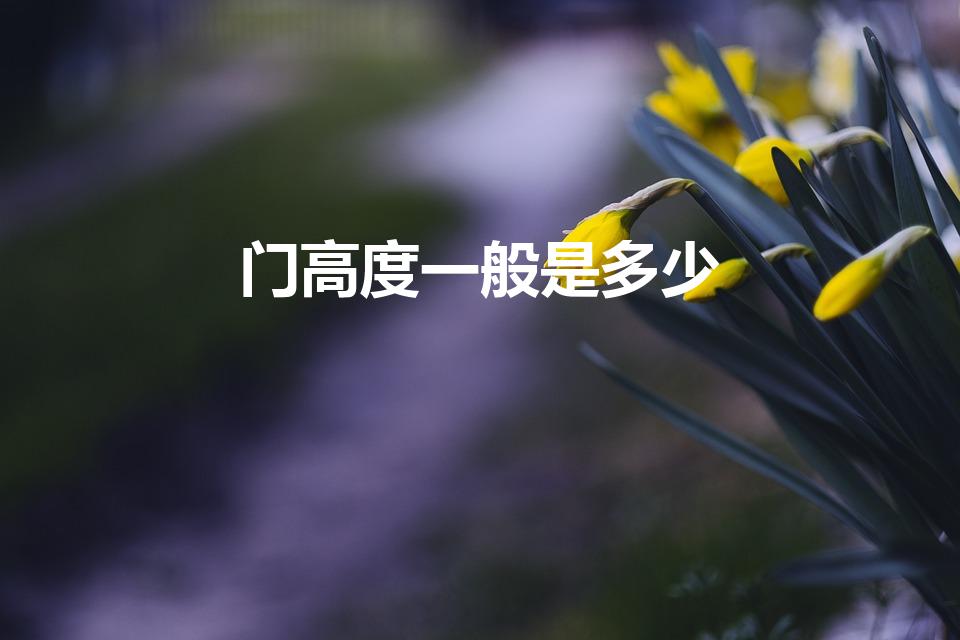 门高度一般是多少（门的标准高度和宽度是多少）