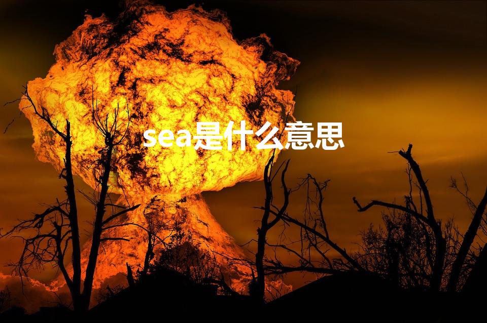 sea是什么意思（sea中文是什么意思）