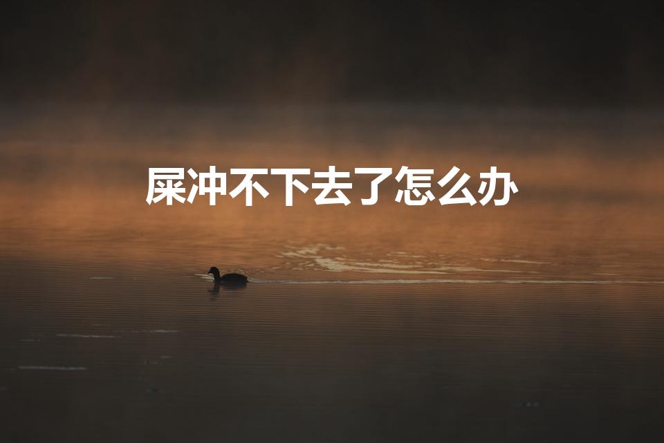 屎冲不下去了怎么办（马桶冲不下去大便怎么办）