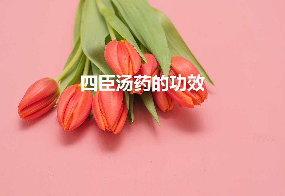 四臣汤药的功效（四臣汤还叫什么名字）