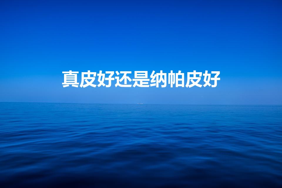 真皮好还是纳帕皮好（纳帕皮和真皮的区别）