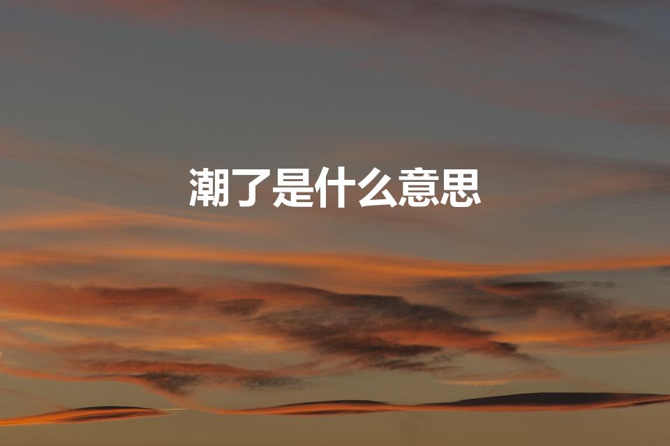 潮了是什么意思（旭旭宝宝潮了是什么意思）