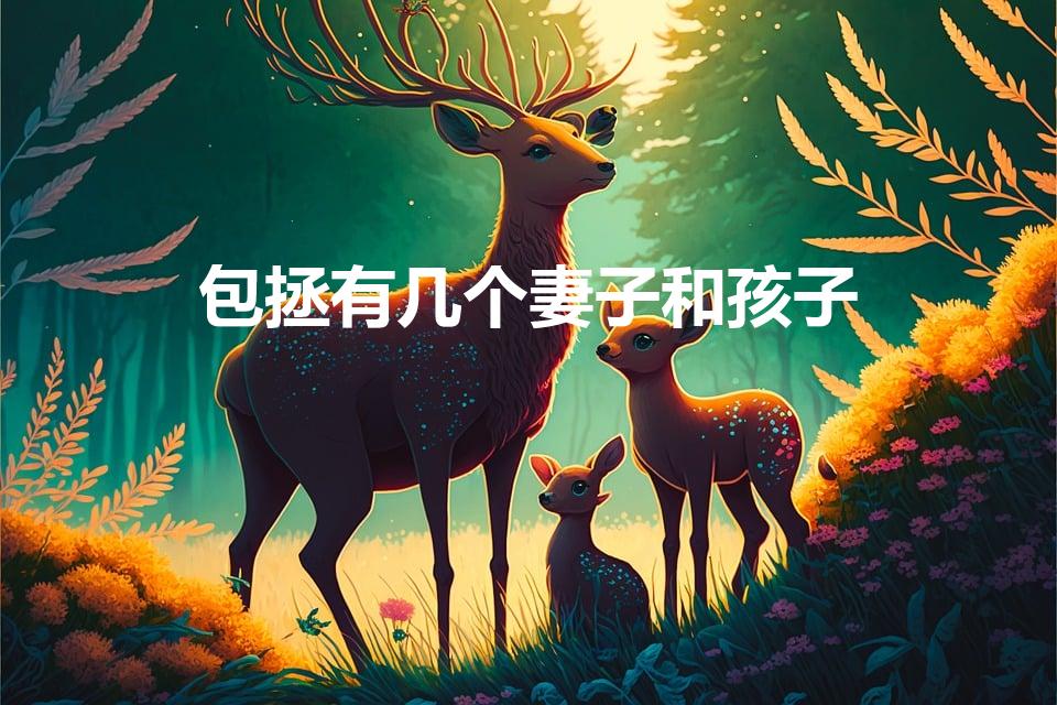 包拯有几个妻子和孩子