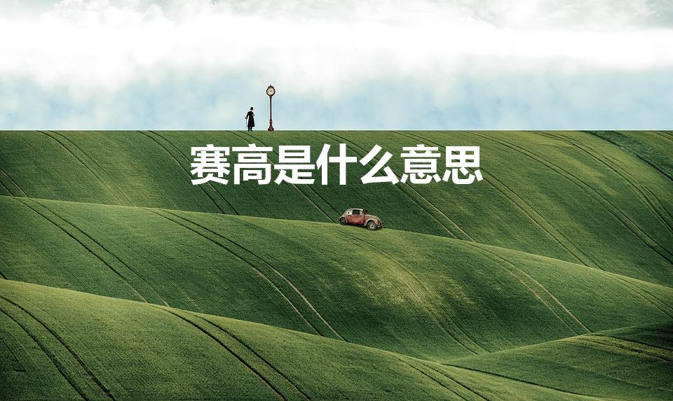 赛高是什么意思（赛高是什么梗 赛高的意思）