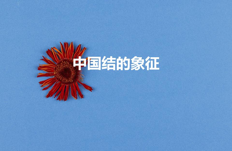 中国结的象征（中国结的象征意义）