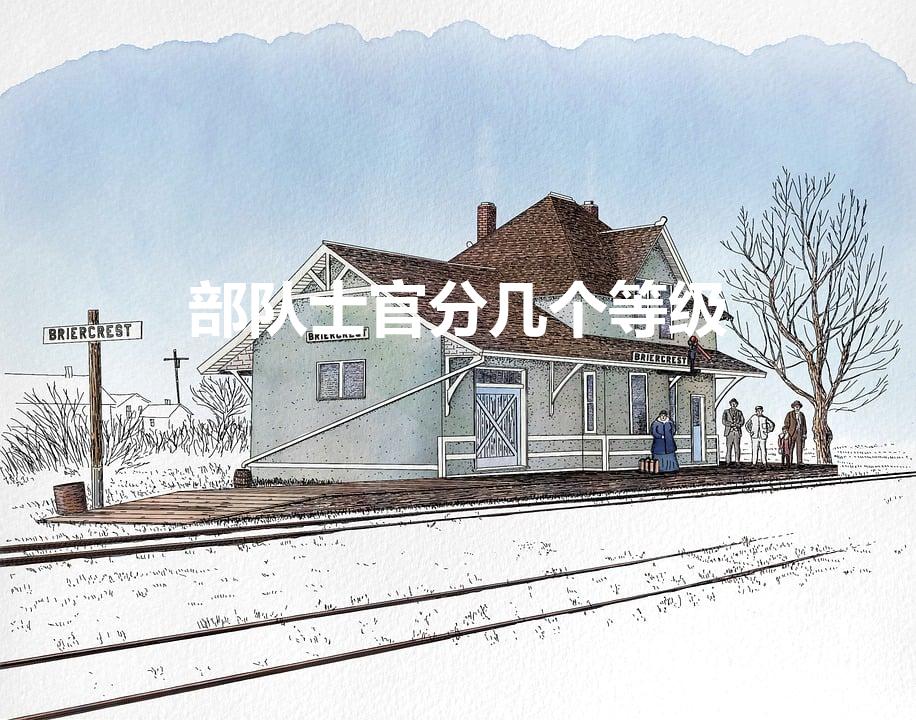部队士官分几个等级