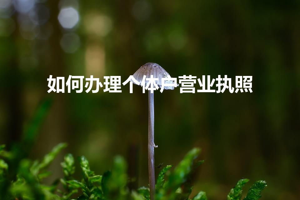 如何办理个体户营业执照（申请个体户营业执照流程）