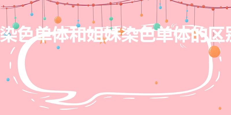 染色单体和姐妹染色单体的区别