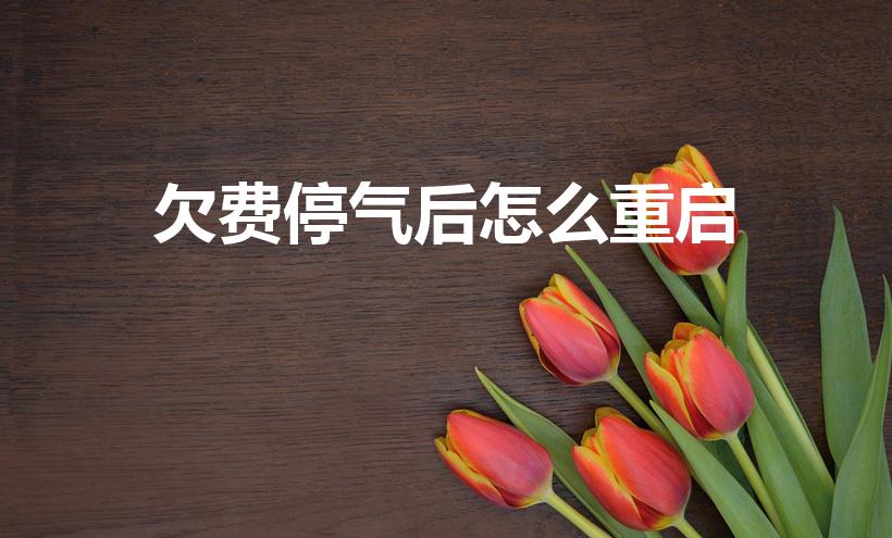 欠费停气后怎么重启（欠费停气后怎么重启红色按钮）