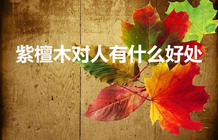 紫檀木对人有什么好处（佩戴紫檀的好处）