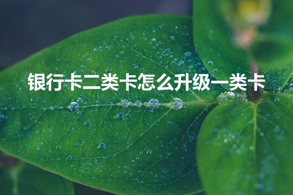 银行卡二类卡怎么升级一类卡（银行卡二类卡怎么转为一类卡）