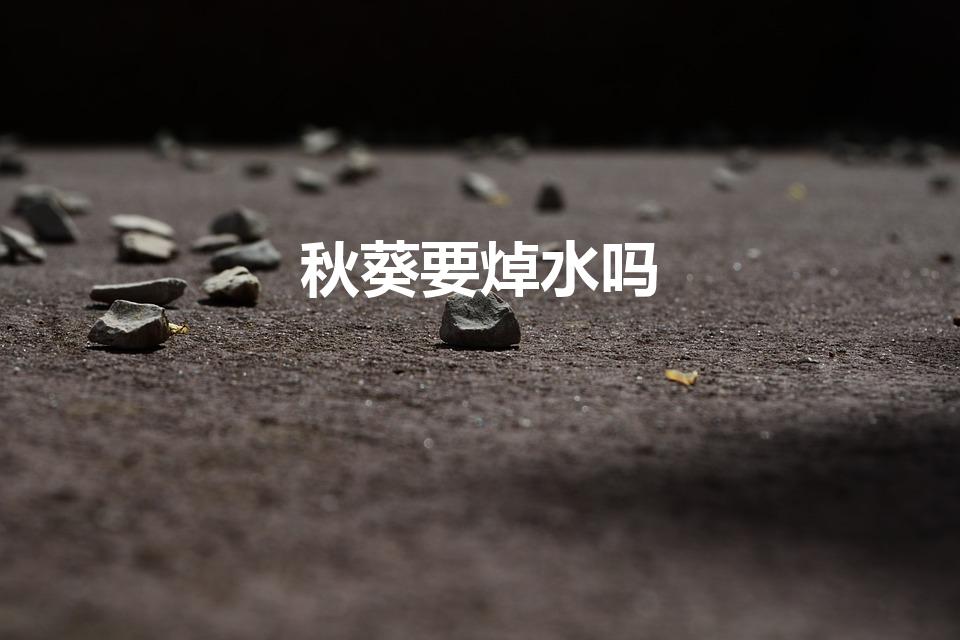 秋葵要焯水吗（炒秋葵要焯水吗）