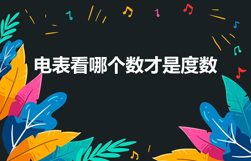 电表看哪个数才是度数（智能电表看哪个数才是度数）
