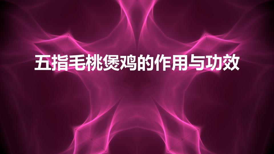 五指毛桃煲鸡的作用与功效（五指毛桃煲鸡汤的功效）