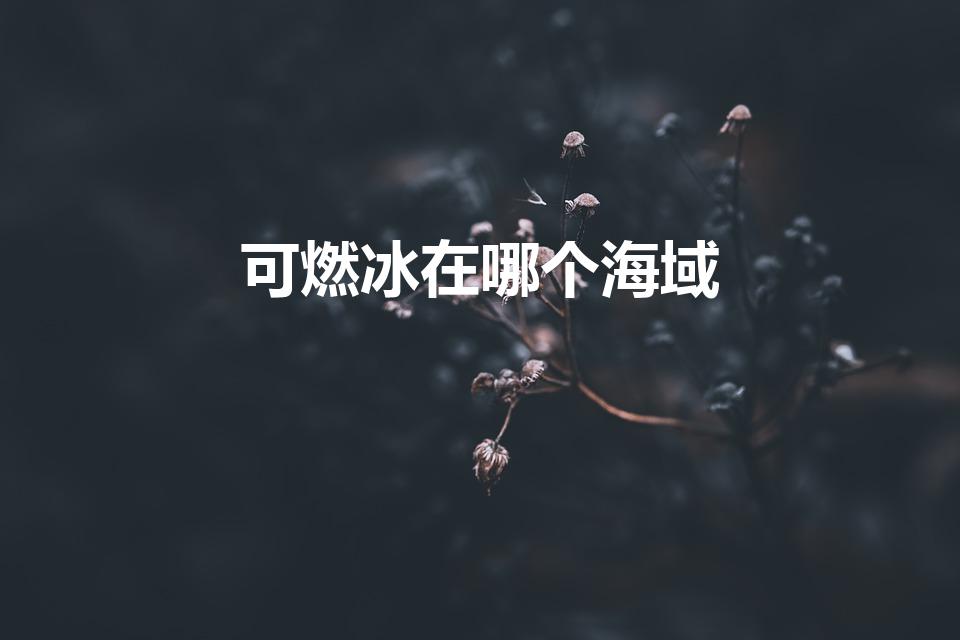 可燃冰在哪个海域