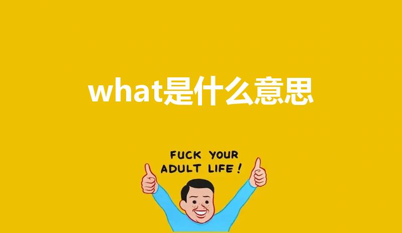 what是什么意思（What的中文是什么意思）