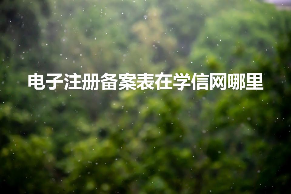 电子注册备案表在学信网哪里（学籍电子注册备案表在哪里）