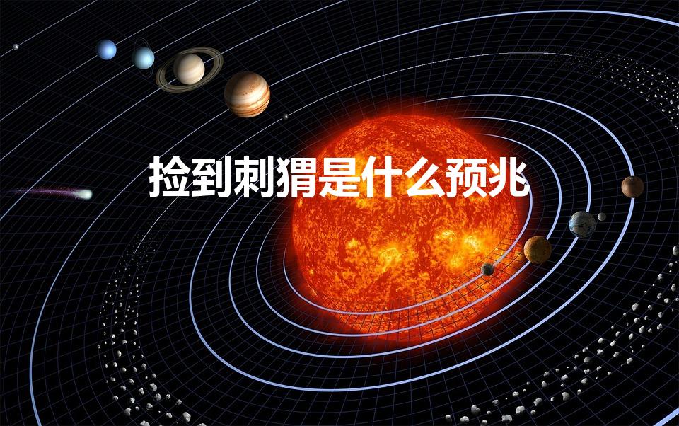 捡到刺猬是什么预兆