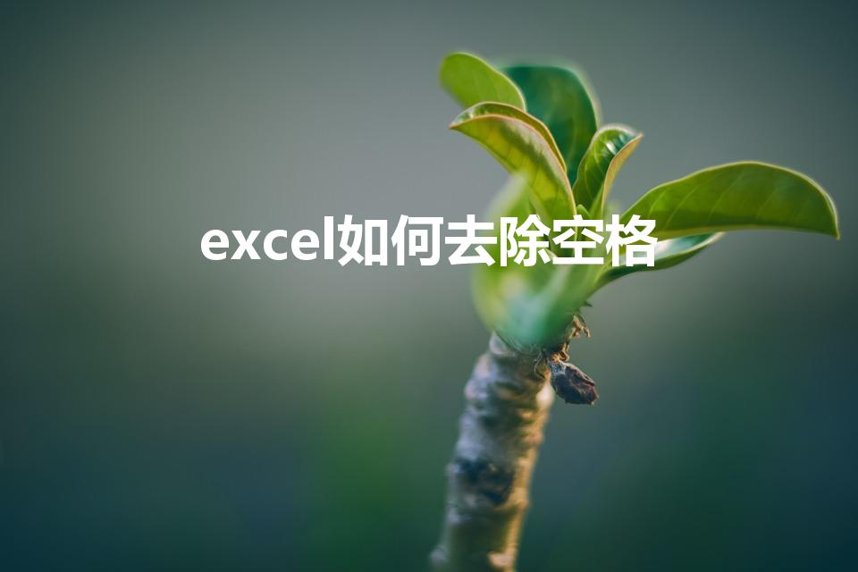 excel如何去除空格（excel怎样快速删除空格）