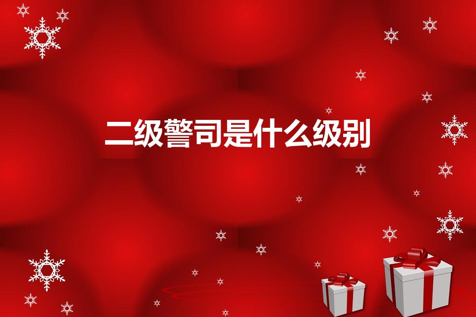 二级警司是什么级别（弱弱地问:二级警司是什么级别）