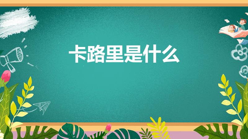 卡路里是什么（卡路里是什么意思）