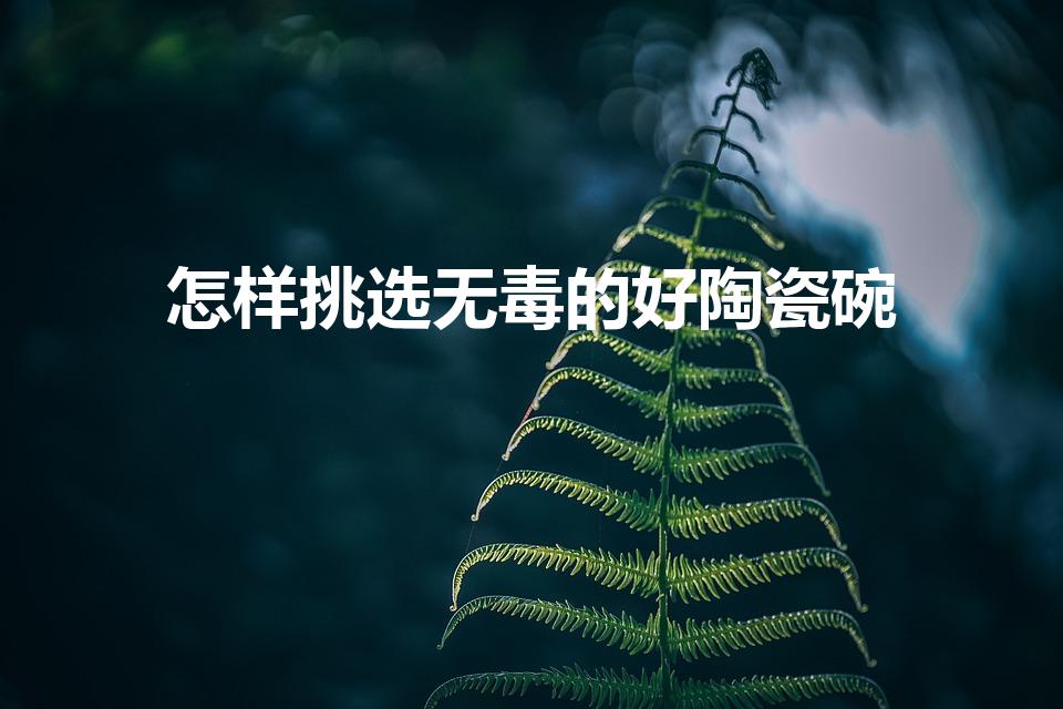 怎样挑选无毒的好陶瓷碗（怎样挑选陶瓷碗）
