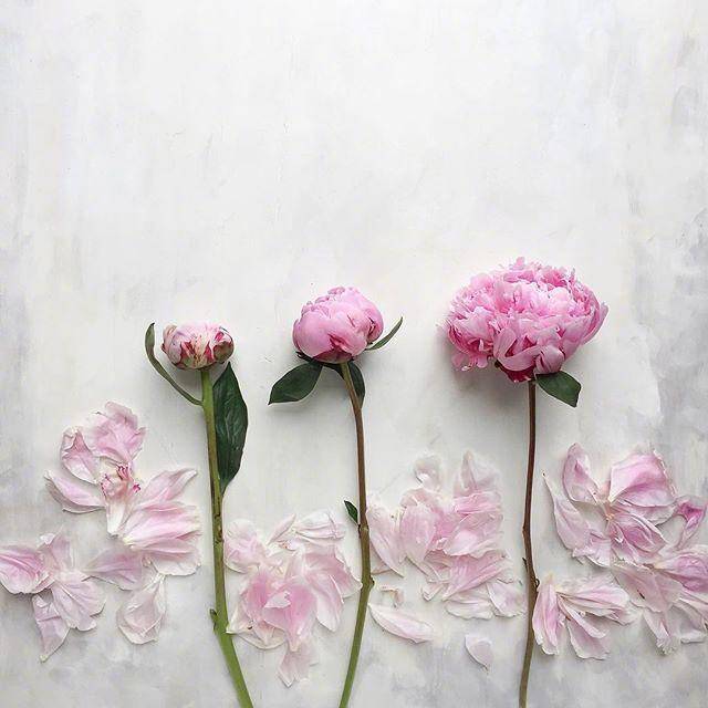 de9431ca6f304c27adda70a894a11ed5noop.image_