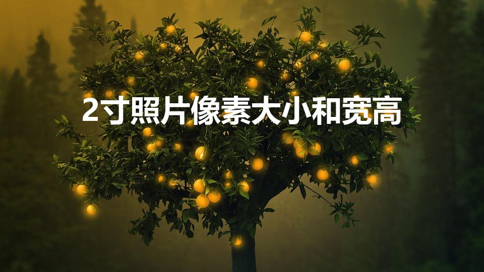 2寸照片像素大小和宽高（2寸照片尺寸是多少厘米像素）