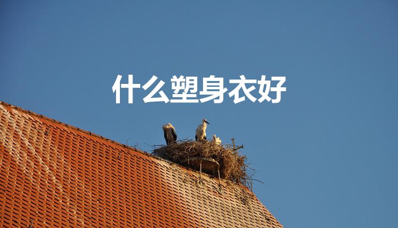 什么塑身衣好（美体塑身衣哪个牌子好）