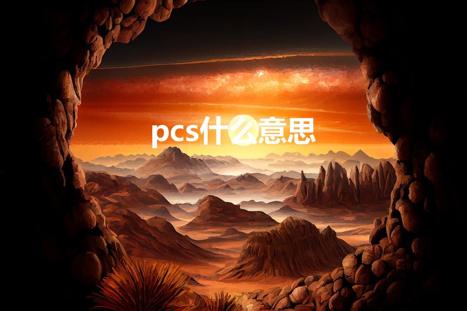 pcs什么意思（PCS是什么意思）