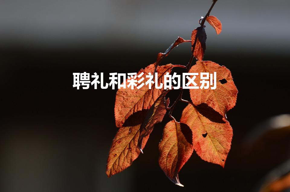 聘礼和彩礼的区别（彩礼和聘礼有什么区别）