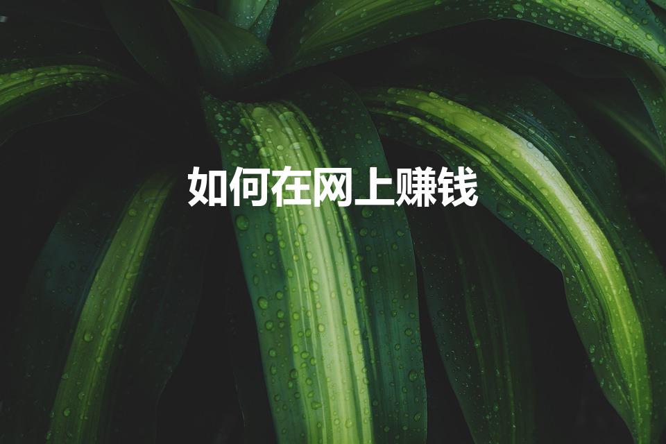 如何在网上赚钱（网上如何赚钱）