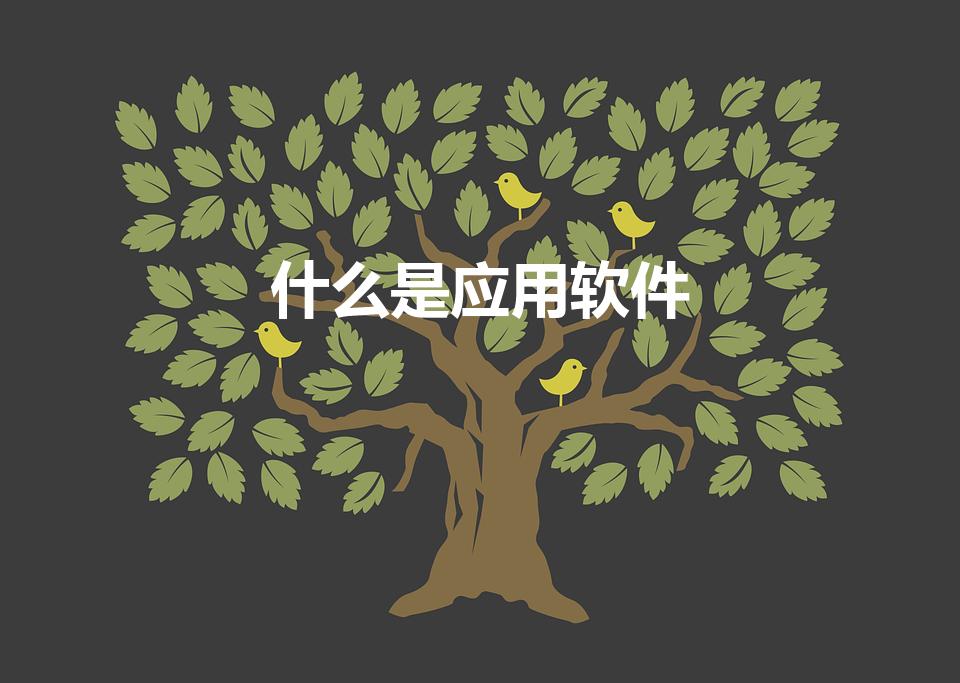 什么是应用软件（什么叫应用软件）