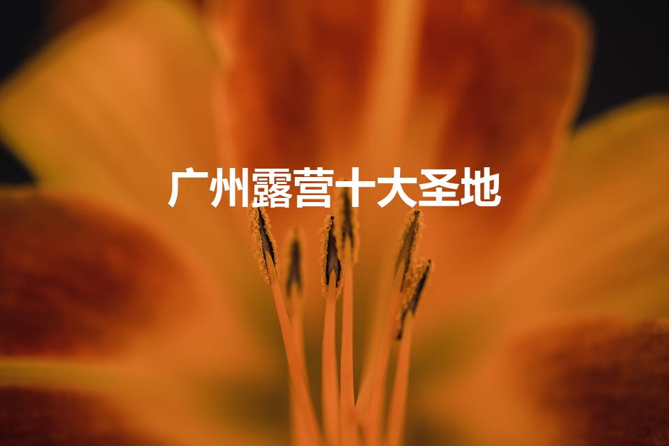 广州露营十大圣地（广东露营野炊十大圣地）