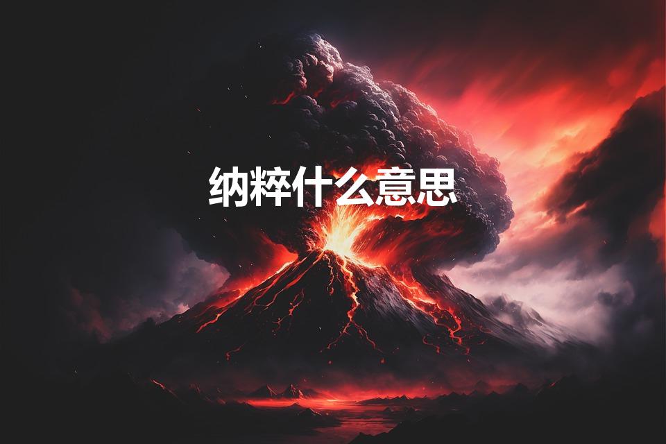 纳粹什么意思（纳粹是什么意思纳粹的解释）