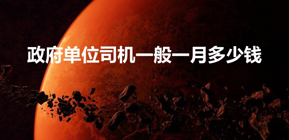 政府单位司机一般一月多少钱（市政府开车的司机待遇）