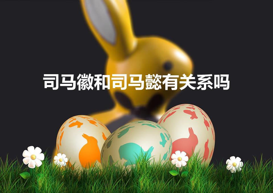 司马徽和司马懿有关系吗（司马微是司马懿的什么人）