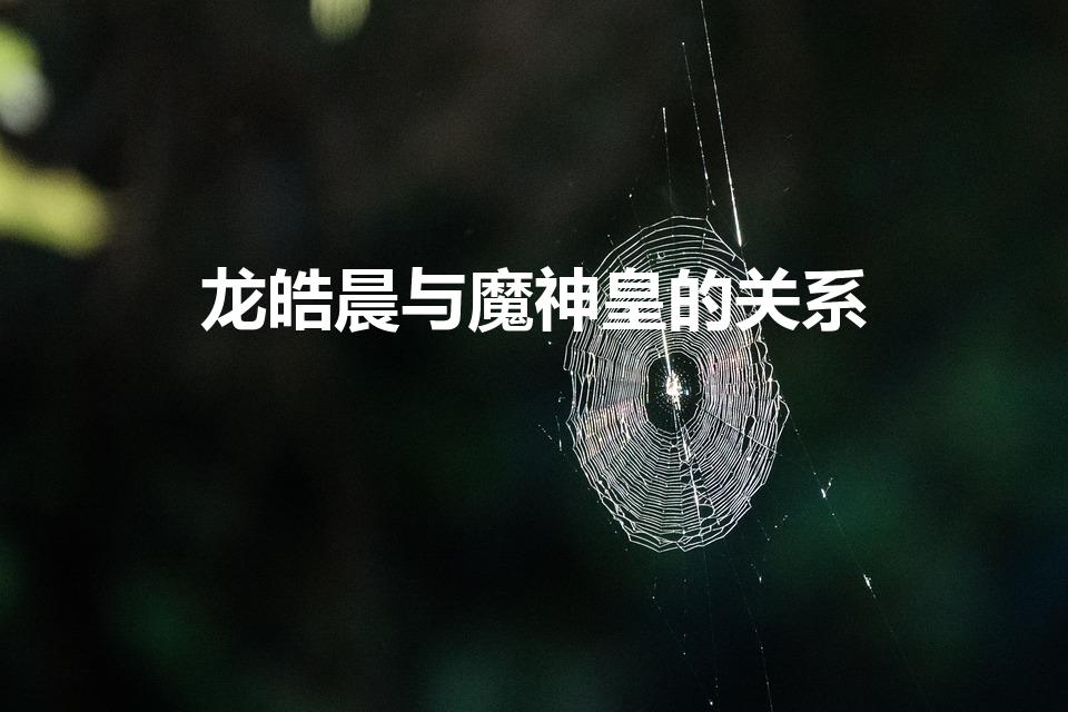 龙皓晨与魔神皇的关系（龙皓晨与魔神皇有什么关系）