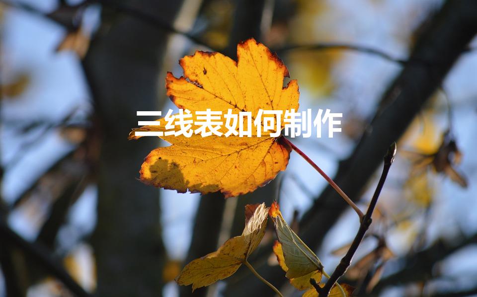 三线表如何制作（wps三线表怎么做）