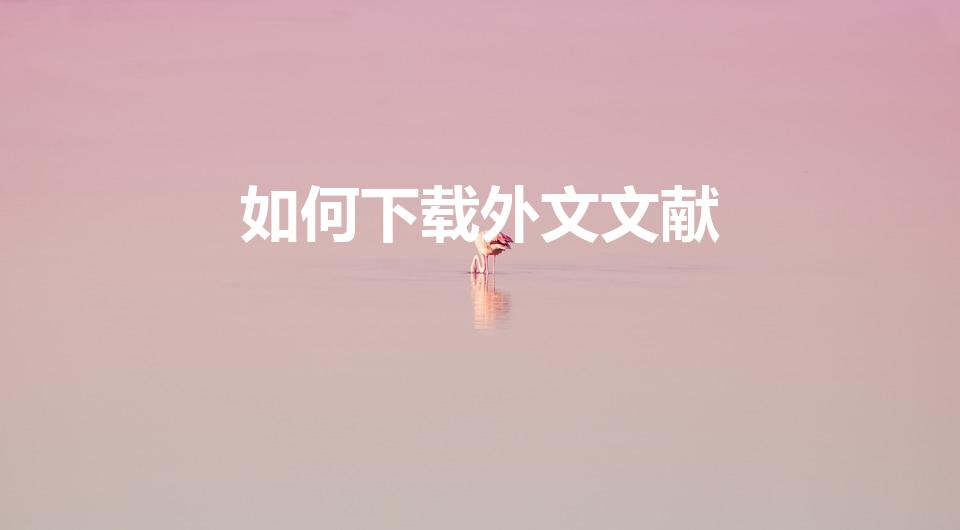 如何下载外文文献（外文文献怎么下载）